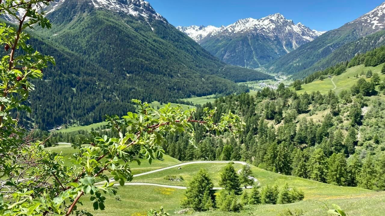 Photo of Others in Guarda