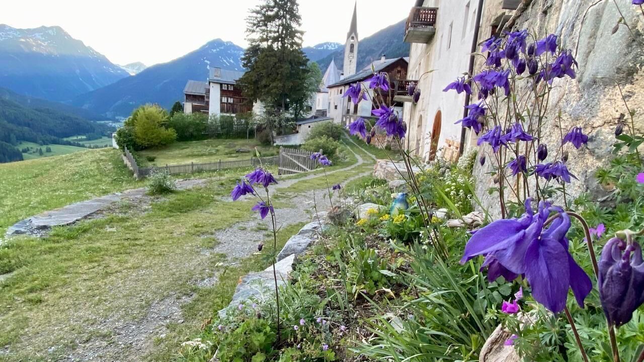 Photo of Outdoor in Guarda