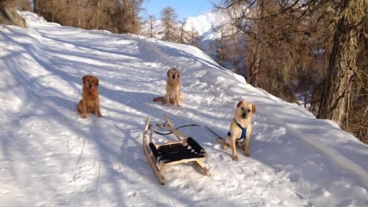 Photo of Others in Guarda