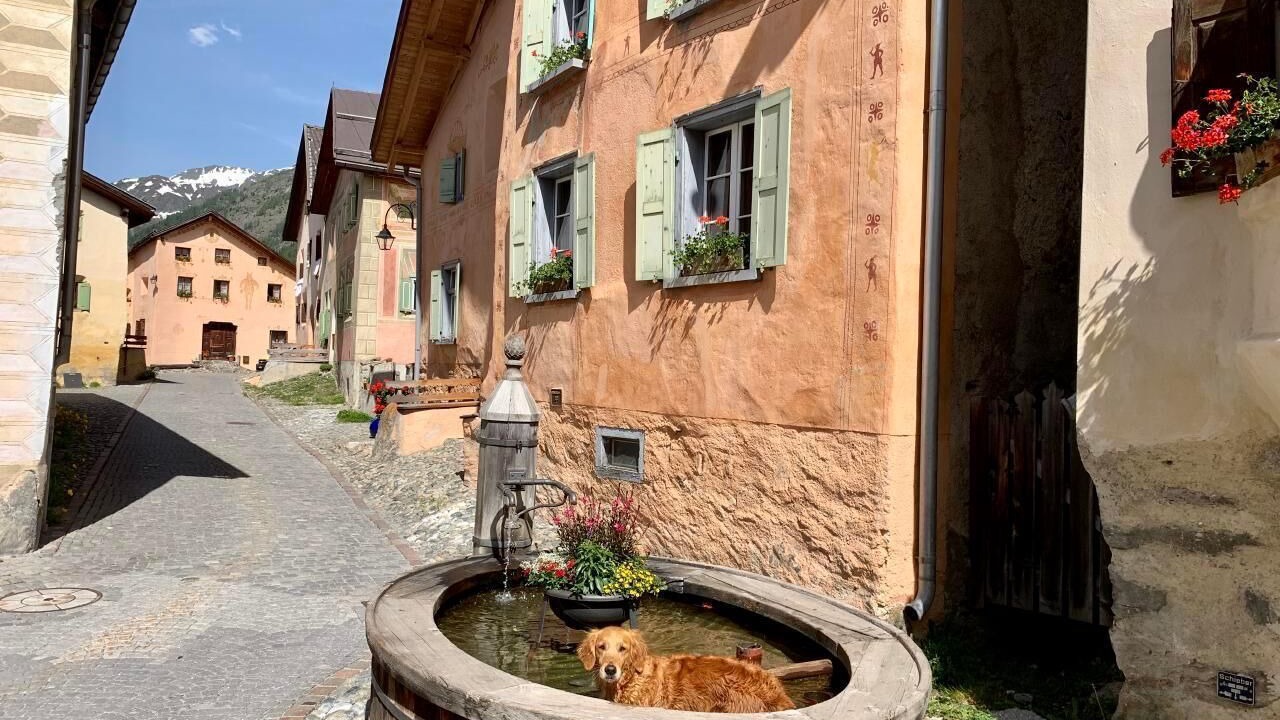Photo of Outdoor in Guarda