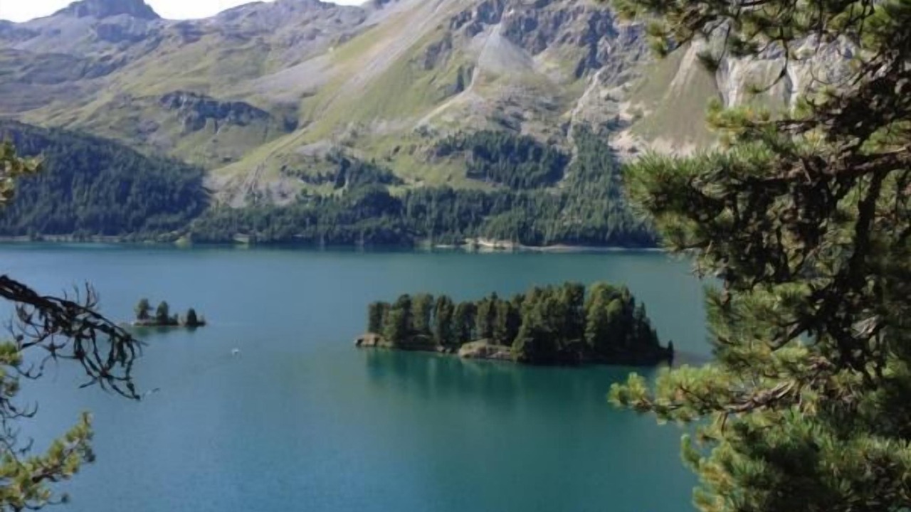 Photo of Outdoor in Guarda