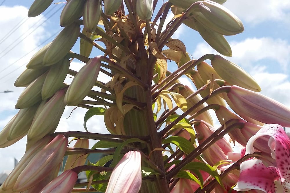 Photo of Outdoor in Stratford