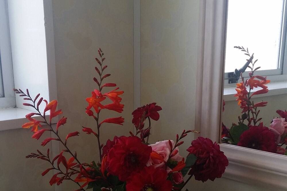 Photo of Bathroom in Stratford