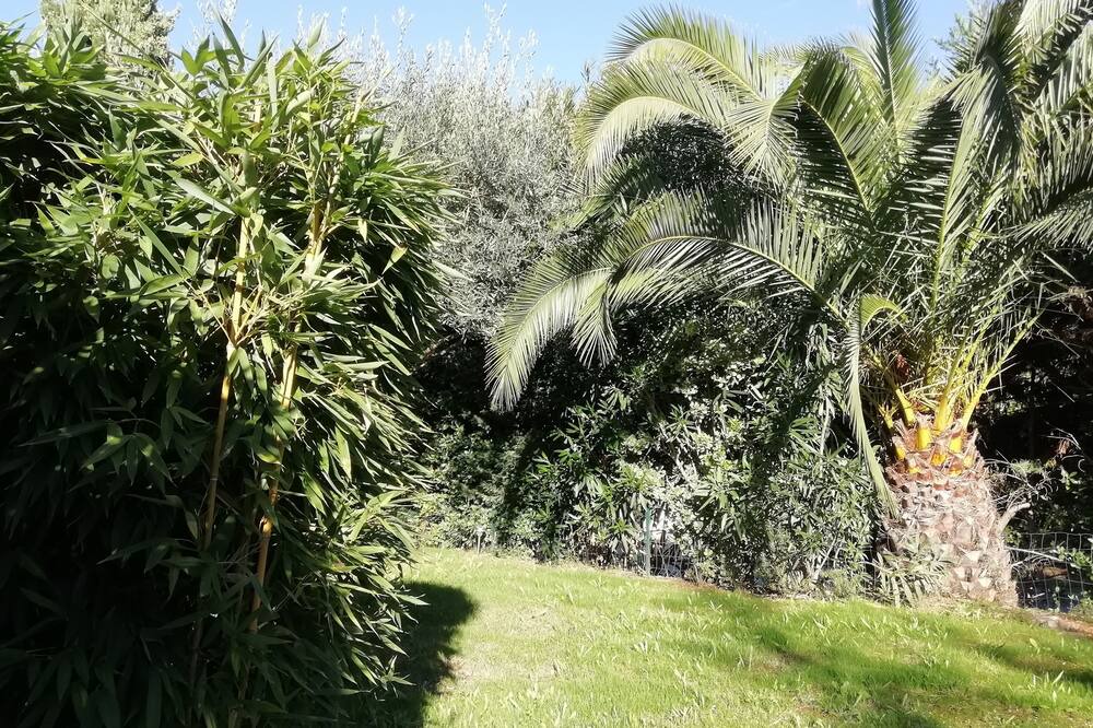 Photo of Outdoor in Baillargues