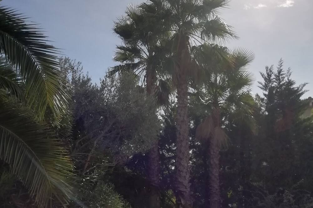 Photo of Outdoor in Baillargues