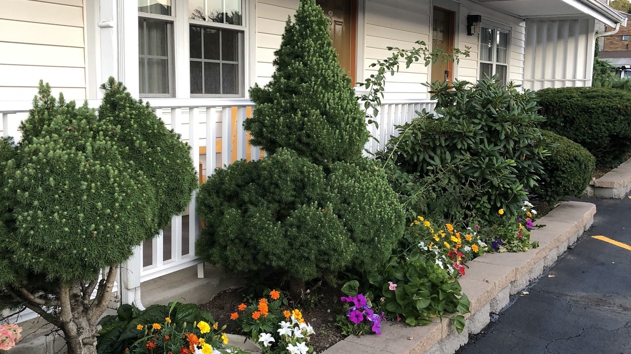 Photo of Outdoor in Saugus