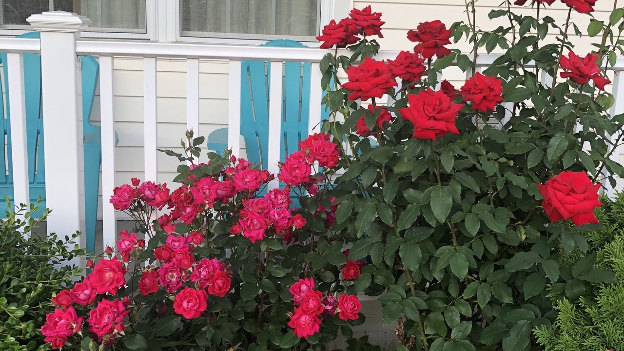 Photo of Outdoor in Saugus