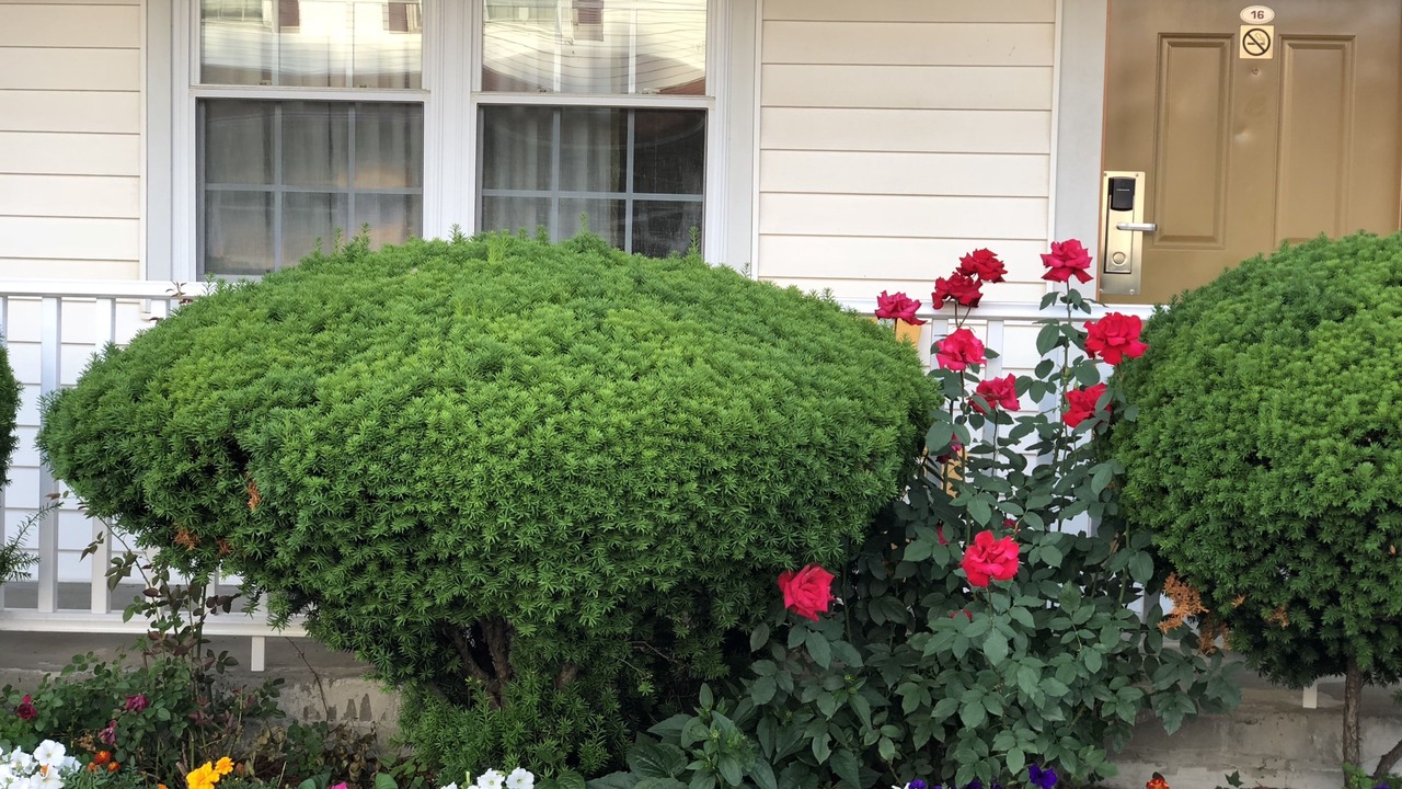 Photo of Outdoor in Saugus