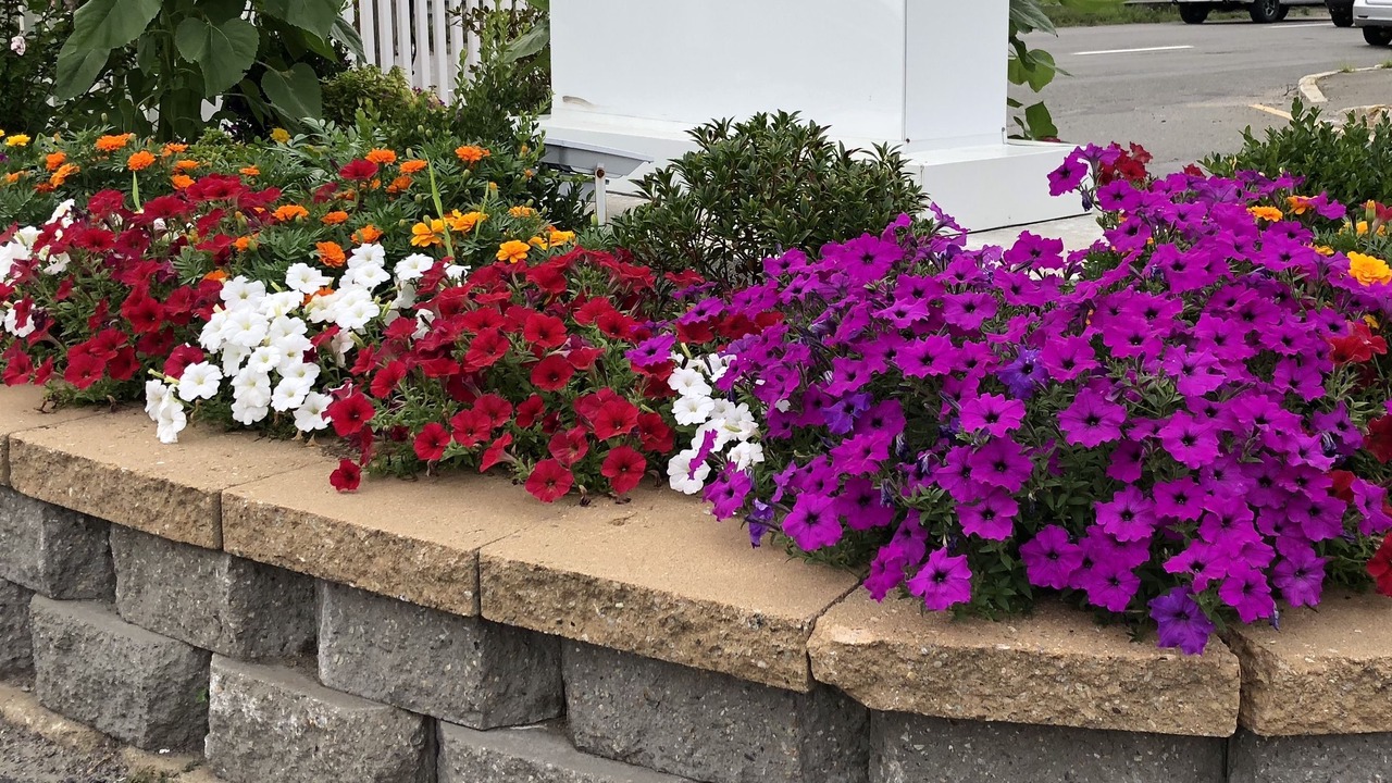 Photo of Outdoor in Saugus