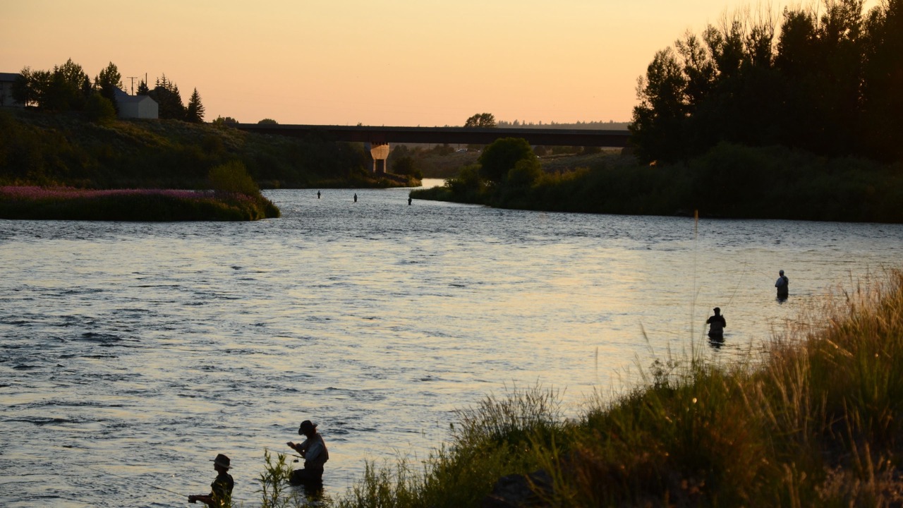 Photo of Others in Ashton