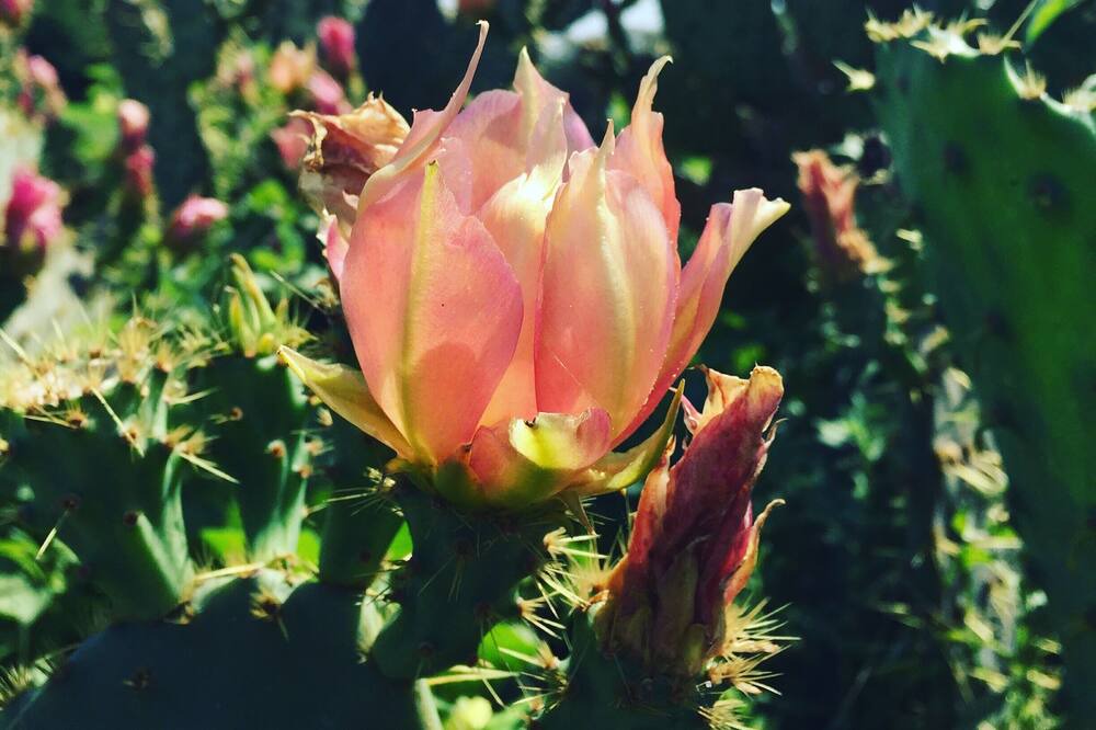 Photo of Outdoor in Oakland