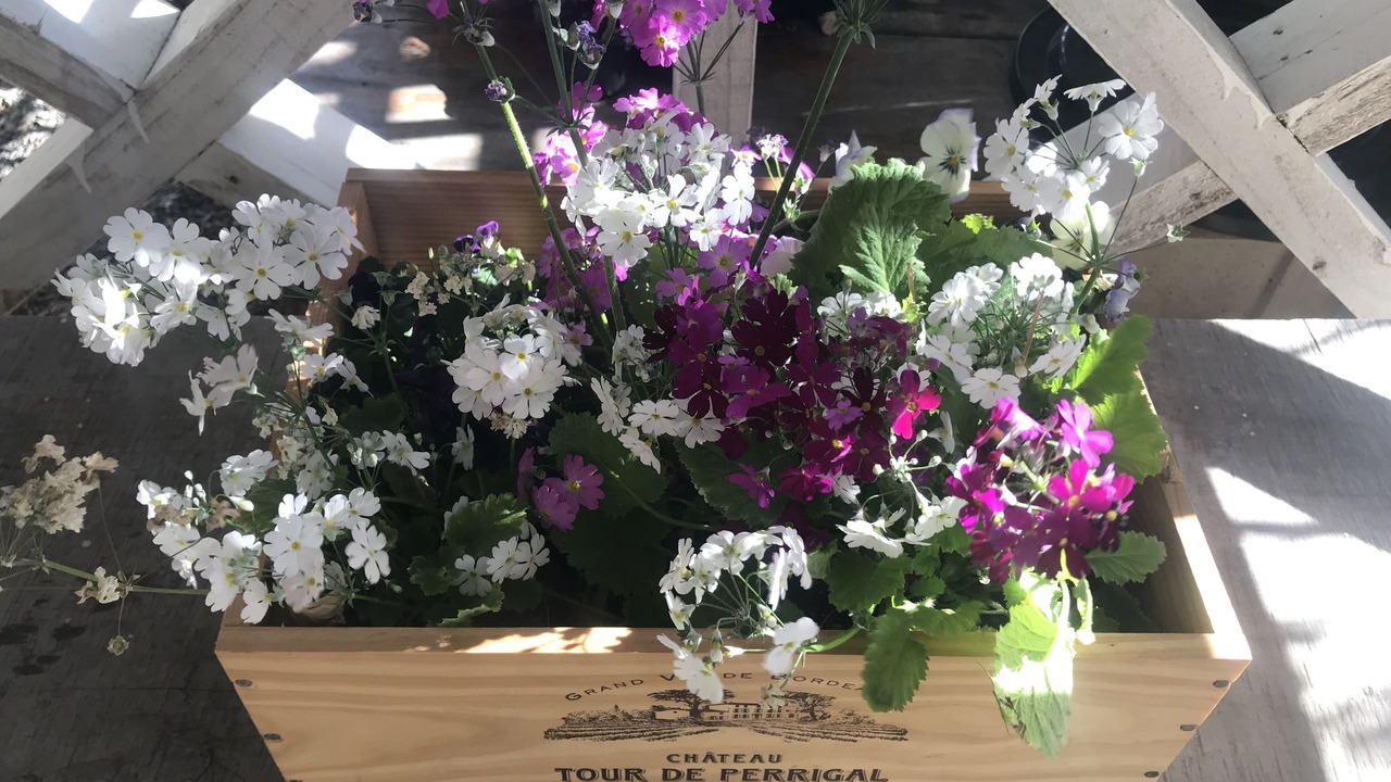 Photo of Outdoor in Martinborough