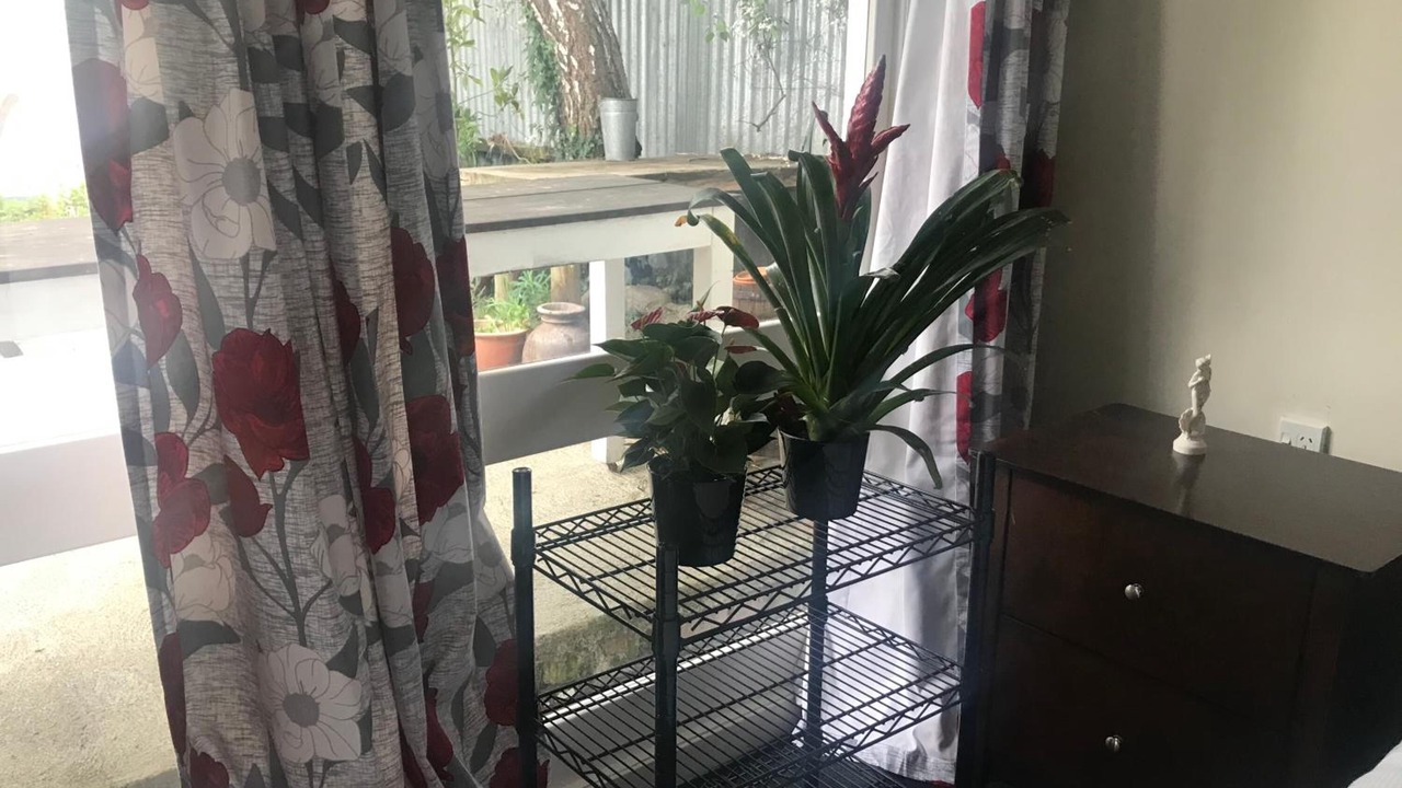 Photo of Others in Martinborough