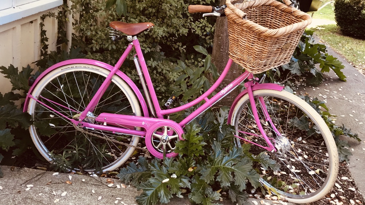 Photo of Outdoor in Martinborough