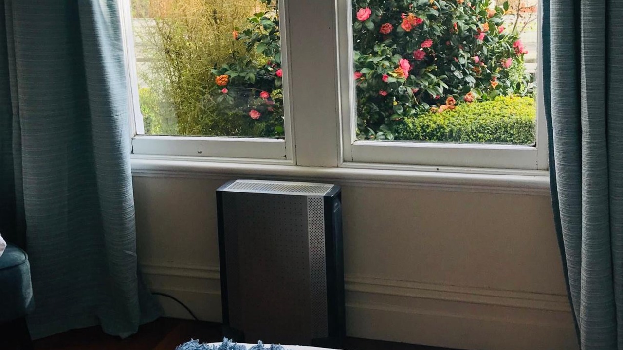 Photo of Others in Martinborough