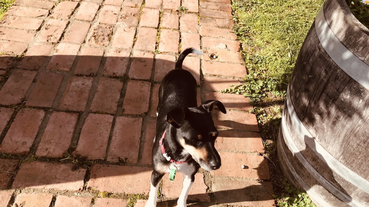 Photo of Others in Martinborough