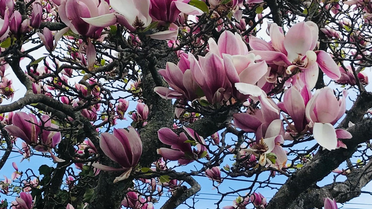 Photo of Outdoor in Martinborough