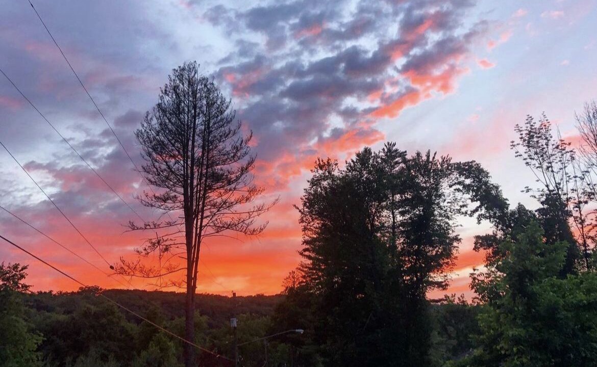 Photo of Outdoor in Narrowsburg