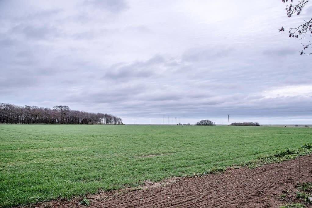 Photo of Others in Sudbourne