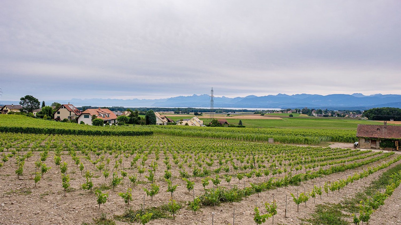Photo of Outdoor in Duillier