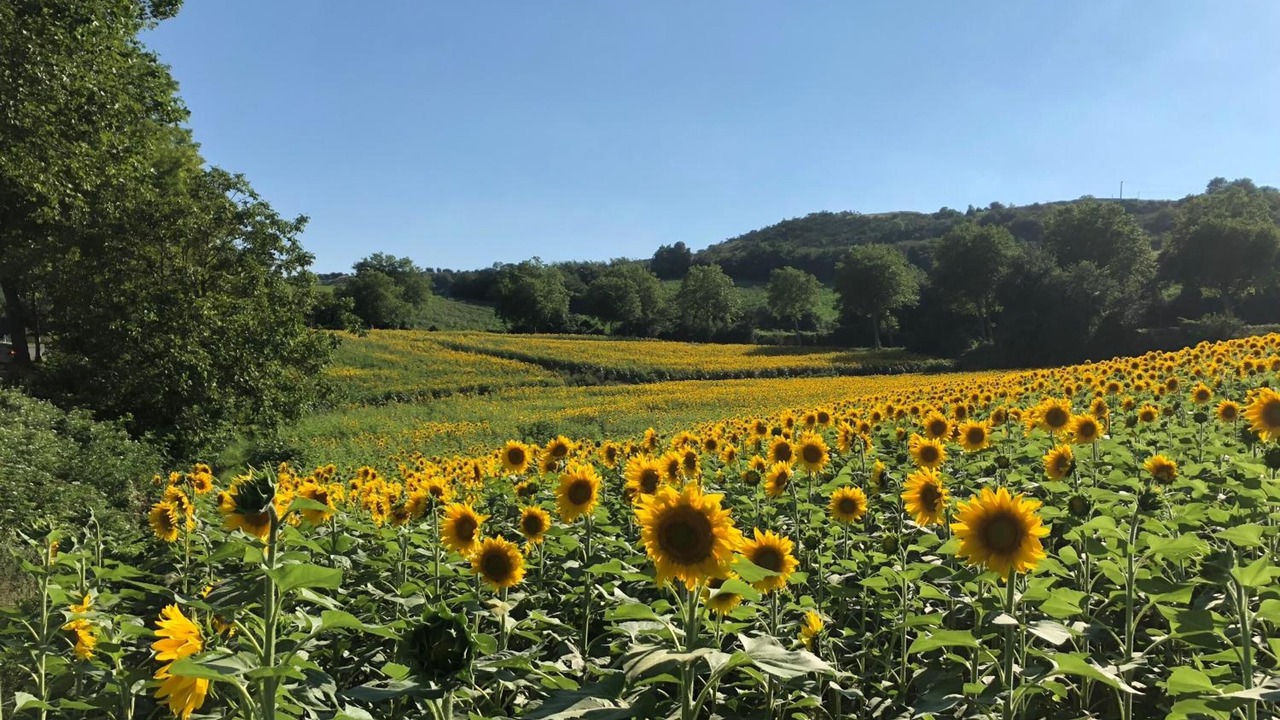 Photo of Outdoor in Gramazie