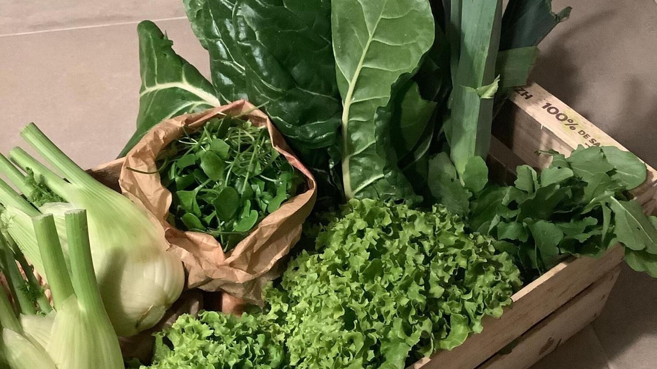 Photo of Others in Gramazie