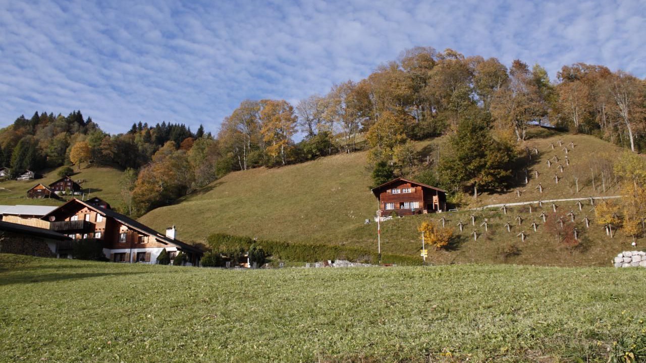 Photo of Outdoor in Matt