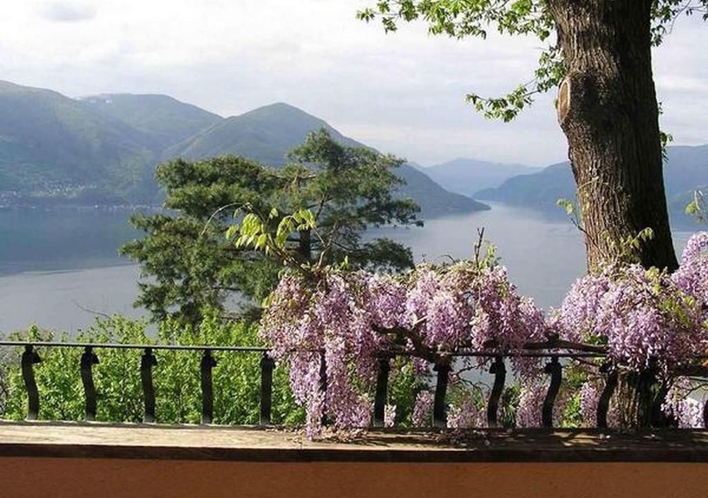 Photo of Others in Ronco sopra Ascona