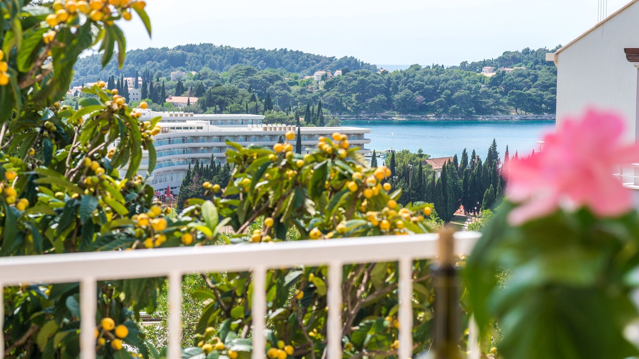 Photo of Others in Cavtat