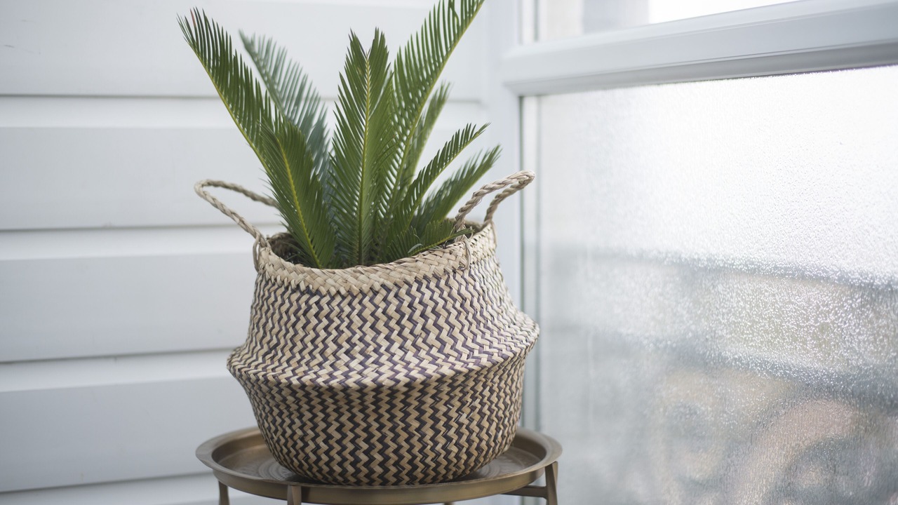 Photo of Others in Caister-on-Sea