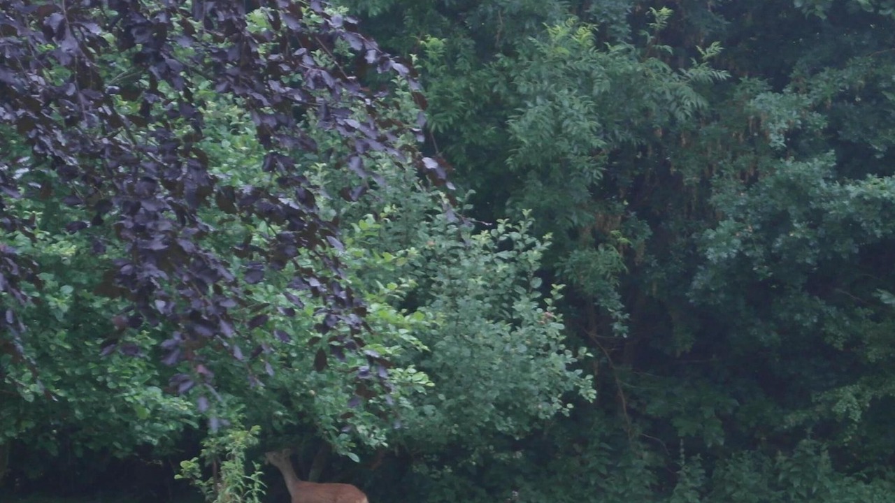 Photo of Outdoor in Galten