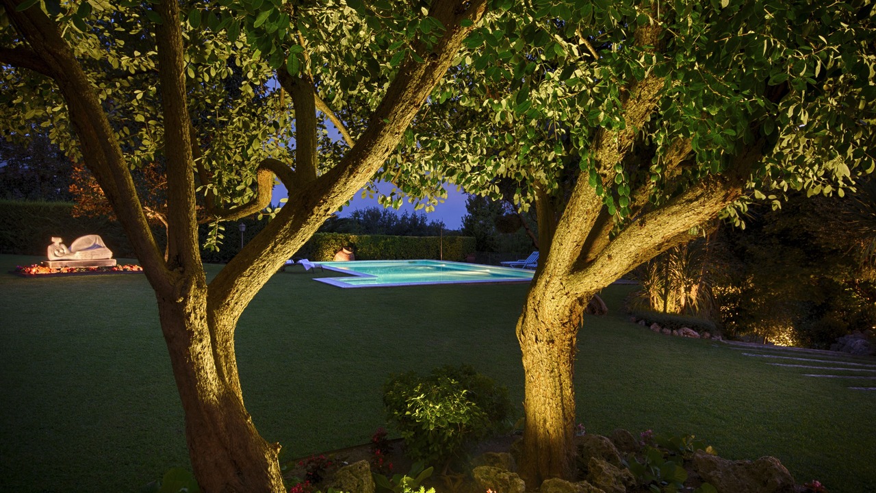 Photo of Outdoor in Palau