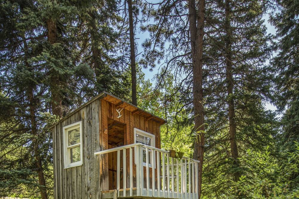 Photo of Outdoor in Shadow Mountain