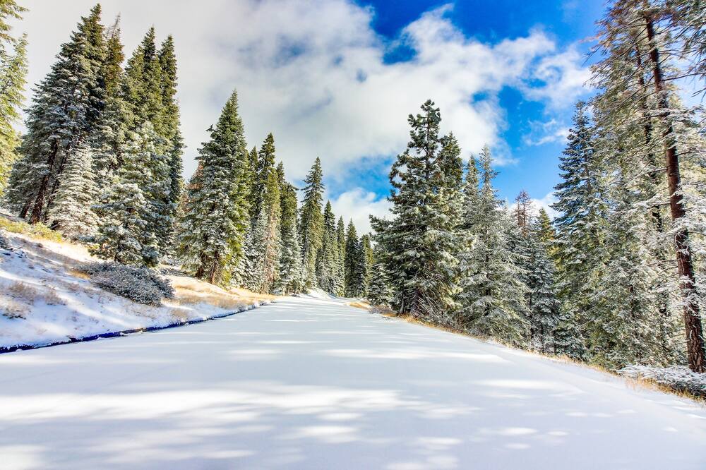 Photo of Others in North Upper Truckee