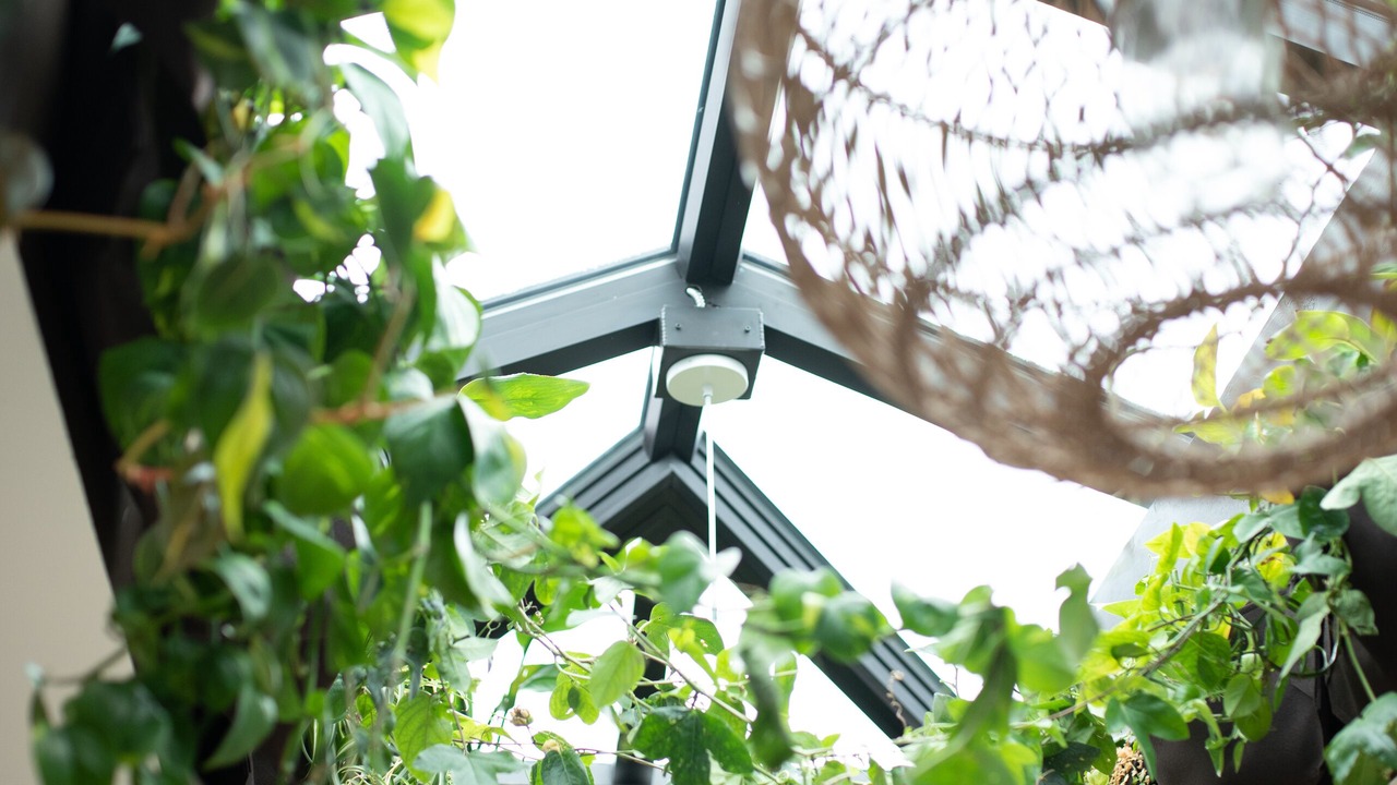 Photo of Others in Redmond