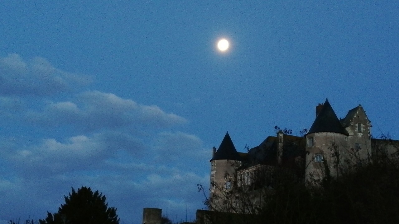 Photo of Outdoor in Luynes