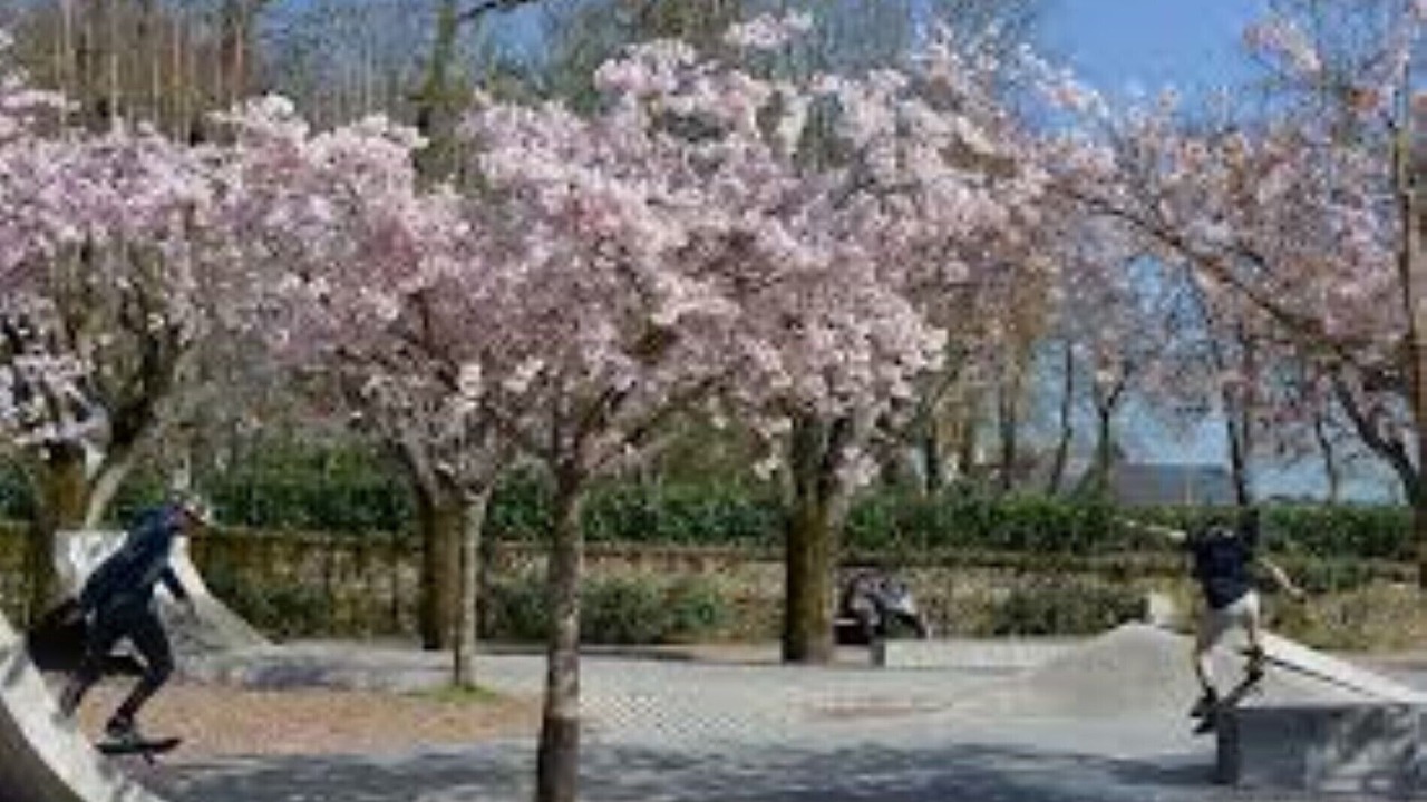 Photo of Others in La Roche-sur-Yon