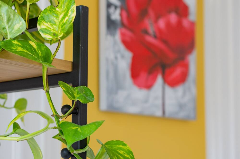 Photo of Others in Griffon - Royale