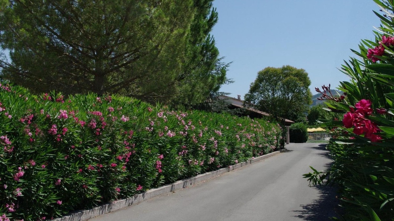 Photo of Outdoor in Pegomas