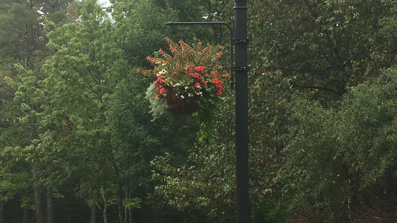 Photo of Outdoor in Dufferin