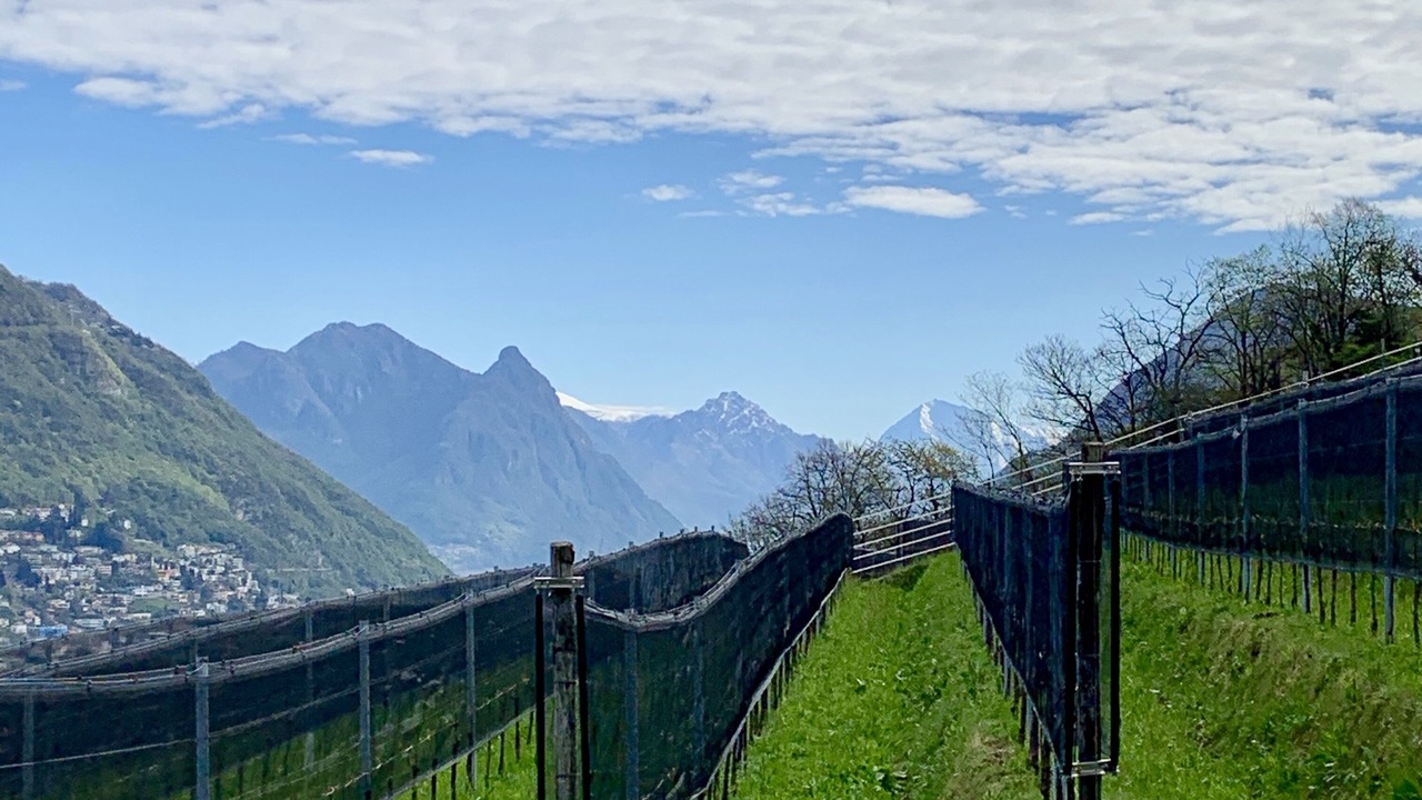 Photo of Outdoor in Paradiso