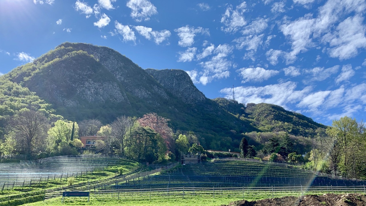 Photo of Outdoor in Paradiso