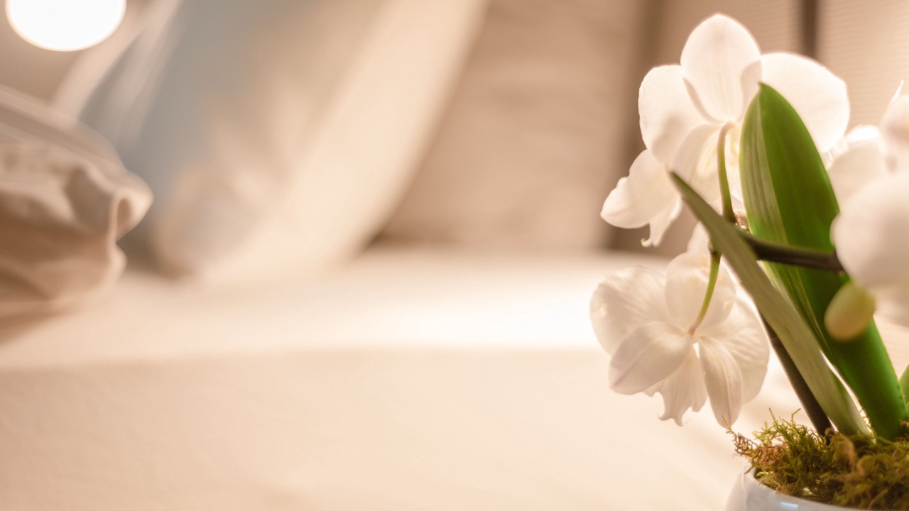 Photo of Others in Paradiso