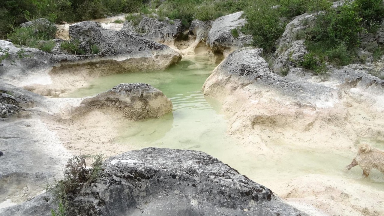 Photo of Others in Saint-Florent-sur-Auzonnet