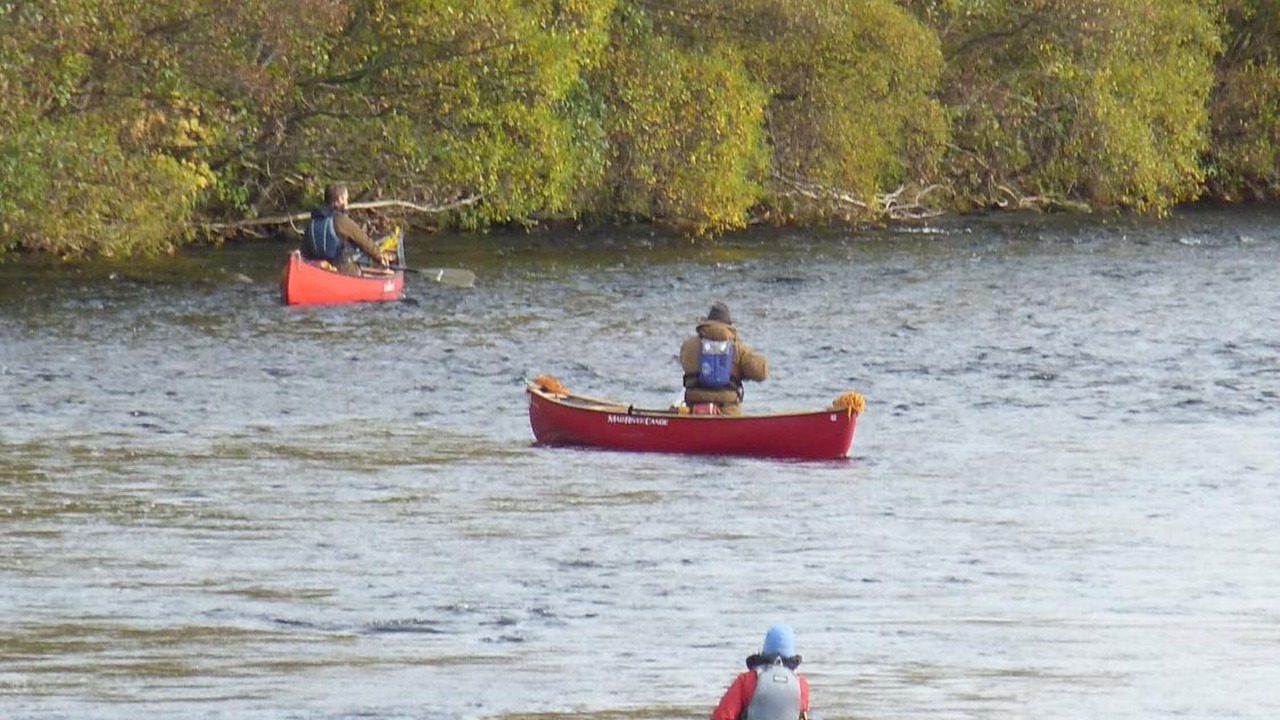Photo of Others in Aboyne