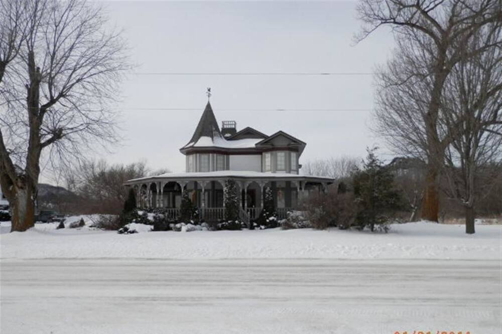 Photo of Outdoor in Viola