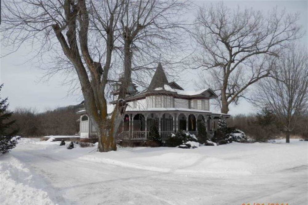 Photo of Outdoor in Viola