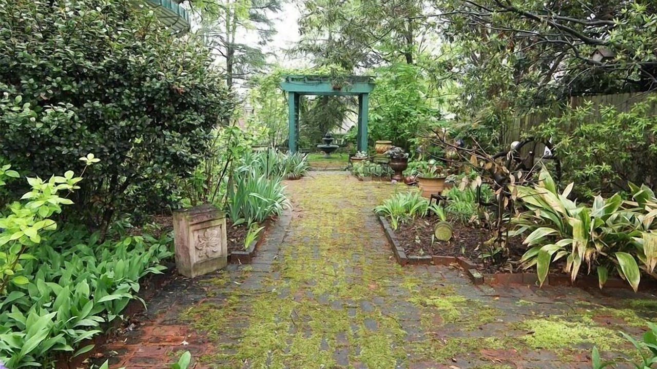 Photo of Outdoor in Westerwood