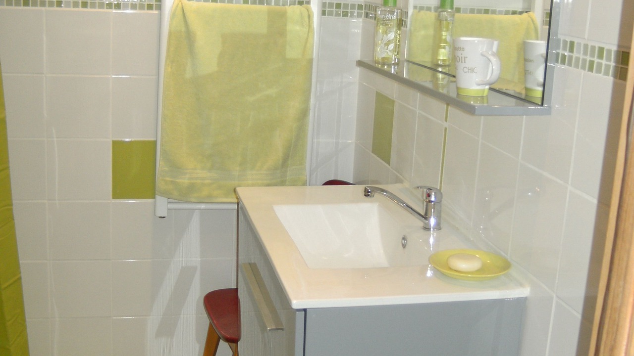 Photo of Bathroom in Saulzoir