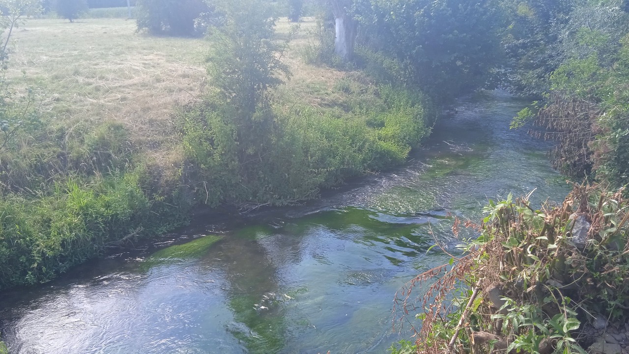 Photo of Outdoor in Saulzoir